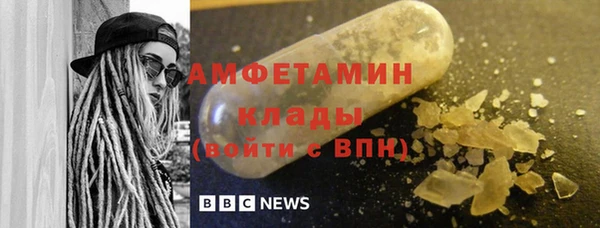 шишки Белокуриха