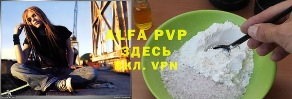 шишки Белокуриха