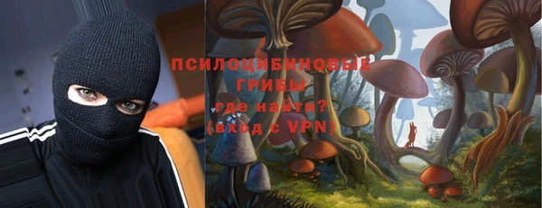 шишки Белоозёрский