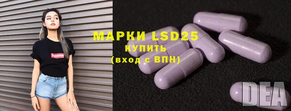 шишки Белоозёрский