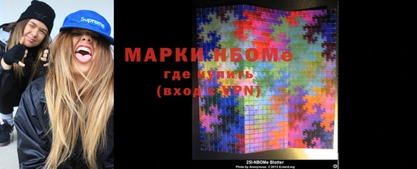 шишки Белокуриха