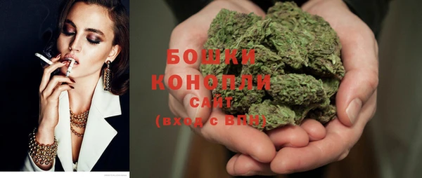 шишки Белоозёрский
