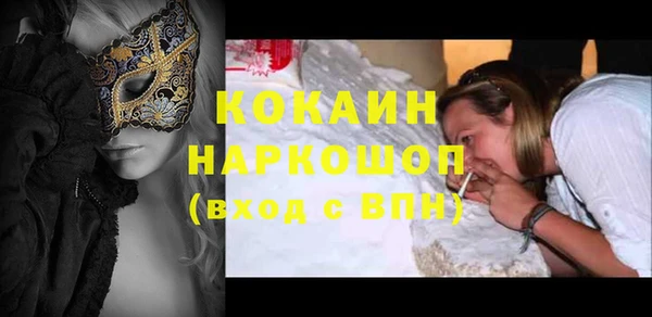 шишки Белокуриха