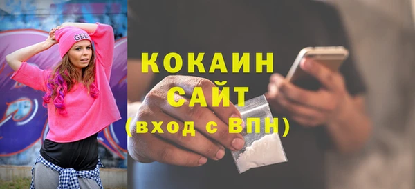 шишки Белокуриха