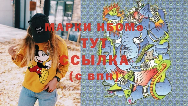 шишки Белокуриха