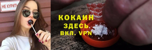 шишки Белокуриха