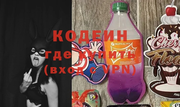 шишки Белоозёрский