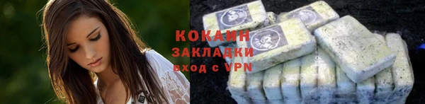 шишки Белокуриха