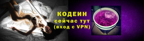 шишки Белокуриха