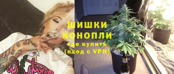 шишки Белоозёрский