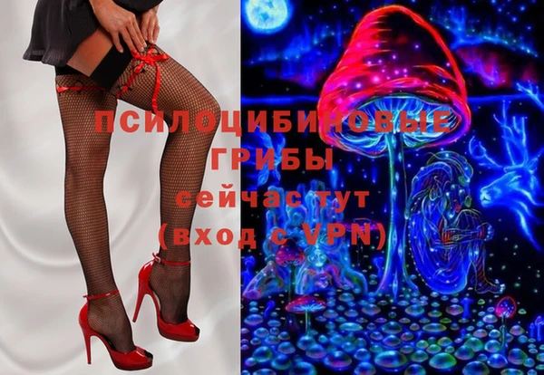 шишки Белоозёрский