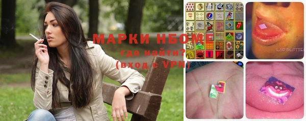 шишки Белоозёрский