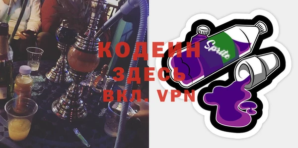шишки Белокуриха