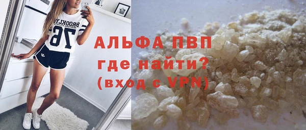 шишки Белокуриха