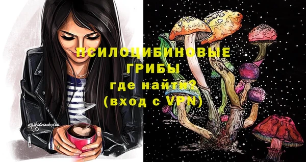 эйфоретик Беломорск