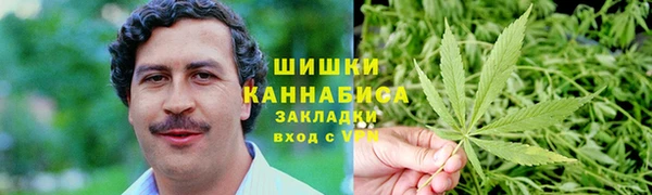 шишки Белокуриха