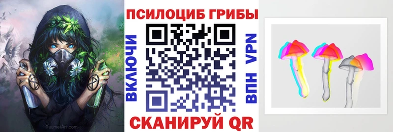 Псилоцибиновые грибы Cubensis  Купить  Костерёво 